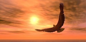 20th sunday after pentecost