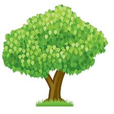 tree tree
